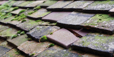 Stanford Dingley roof repair costs